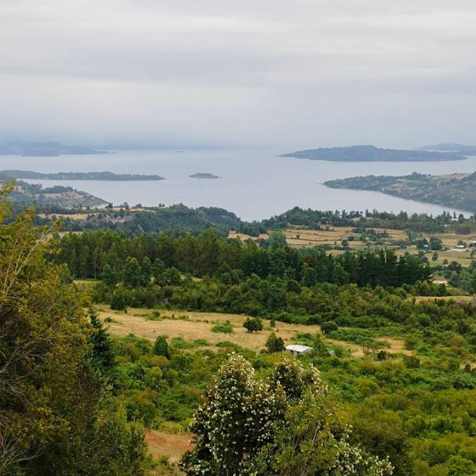 MIRADOR ALTOS NAHUEL 1