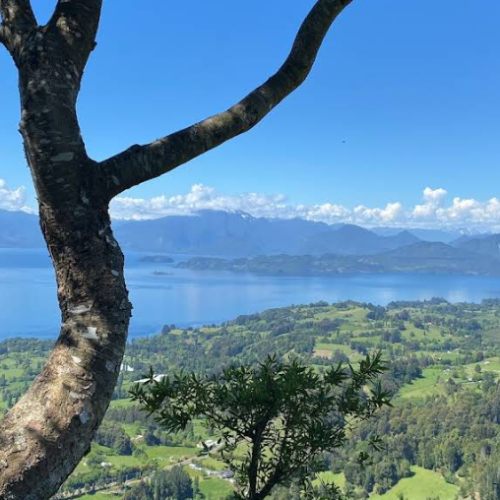 MIRADOR LA CAZA DEL JABALI