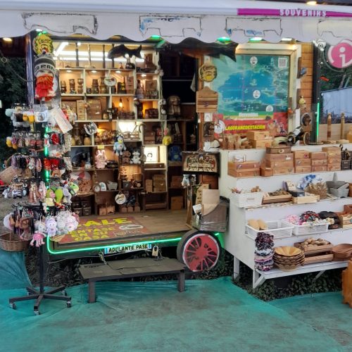 TIENDA SOUVENIRS DEL SUR